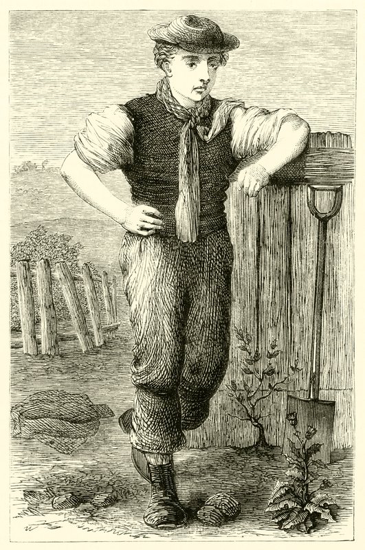 Jeune jardinier - English School