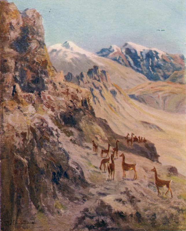 Chasse au guanaco - Ernest William Christmas