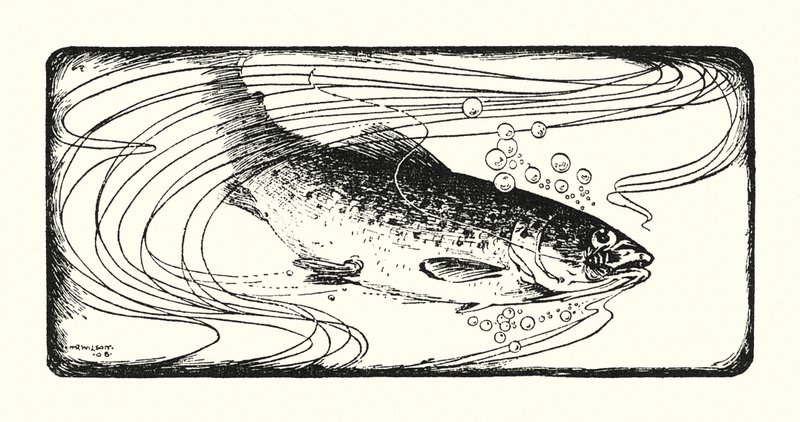 Saumon accroché - Ernest Edward Briggs