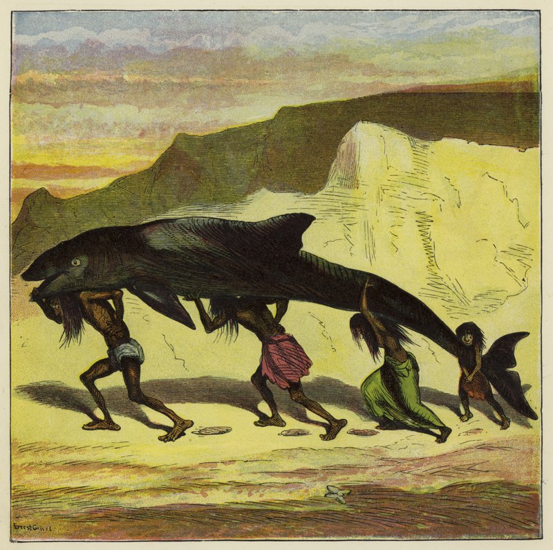 Grand poisson drôle - Ernest Henry Griset