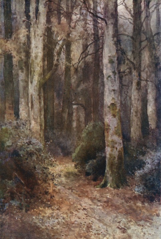 "La Cathédrale" - Ernest William Haslehust