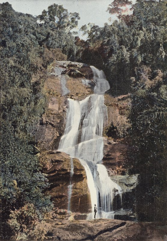 Tijuca, petite cascade - European Photographer