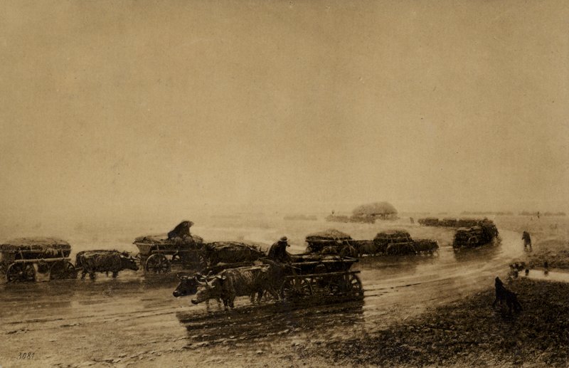 Piste de charrette à bœufs à Marioupol, 1875 - European School