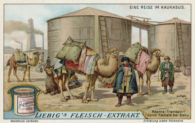 Transport de naphta par chameau à Bakou - European School