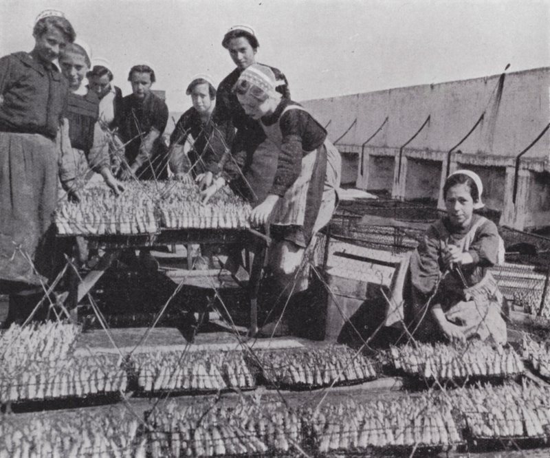 Séchage des sardines (photo n/b) - European Photographer