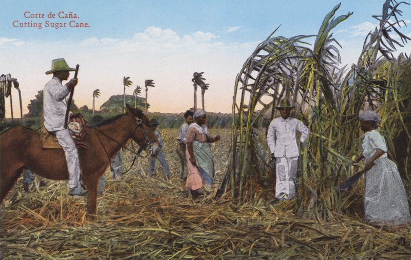 La Havane, Cuba : Coupe de la Canne à Sucre - European Photographer