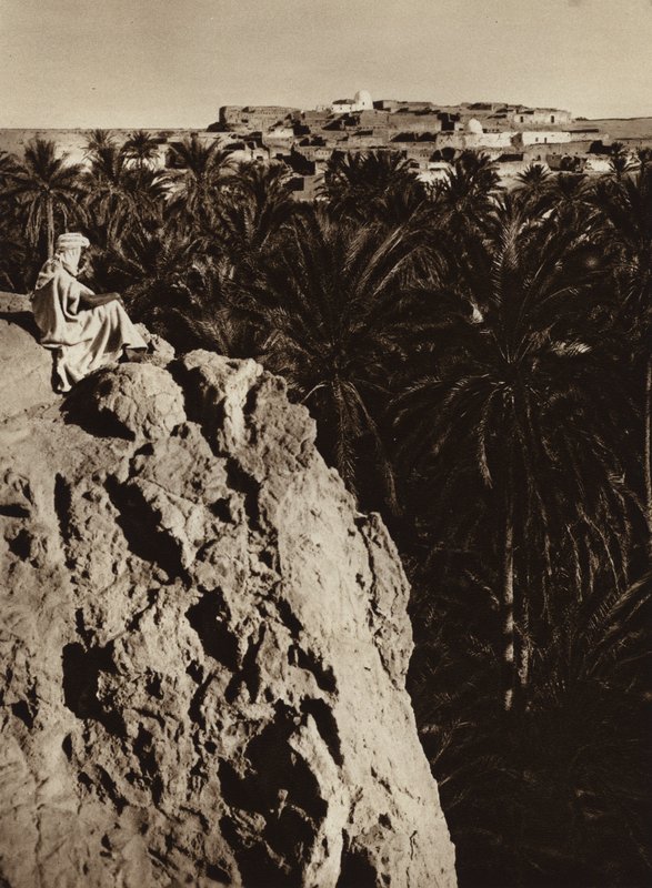 Oasis de Nefta - European Photographer