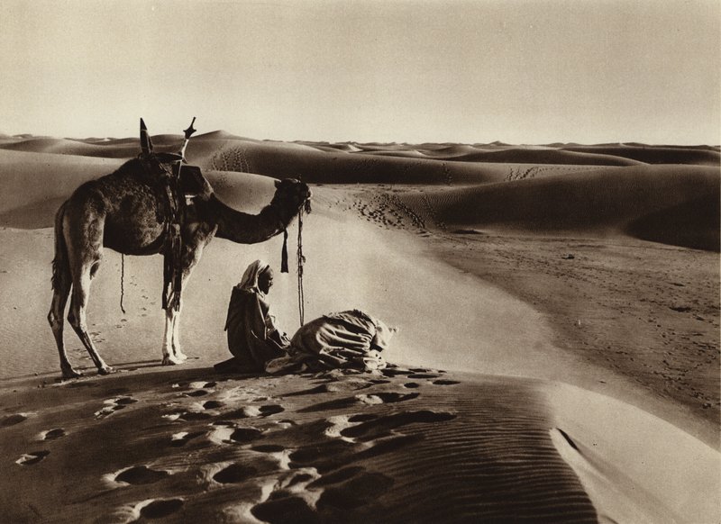 Adoration dans le désert - European Photographer