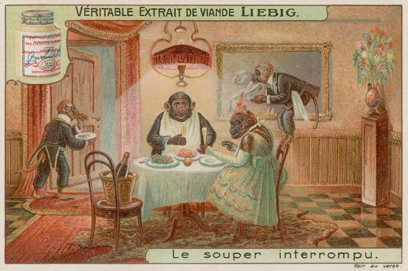 Dîner de singes - European School