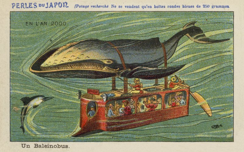 Un bus baleine en l