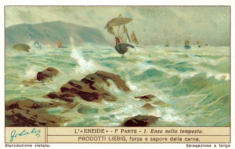 La flotte d