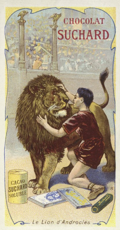 Androclès et le lion - European School