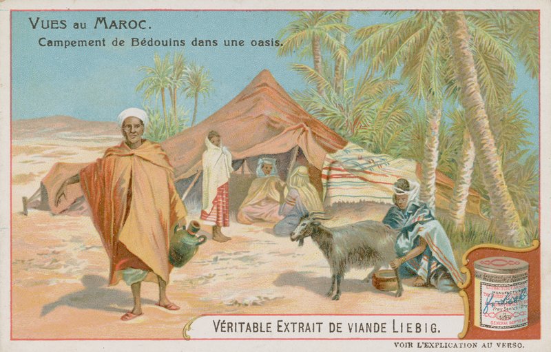 Campement bédouin à une oasis - European School