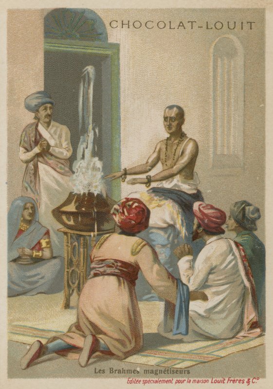 Brahmane élevant de l