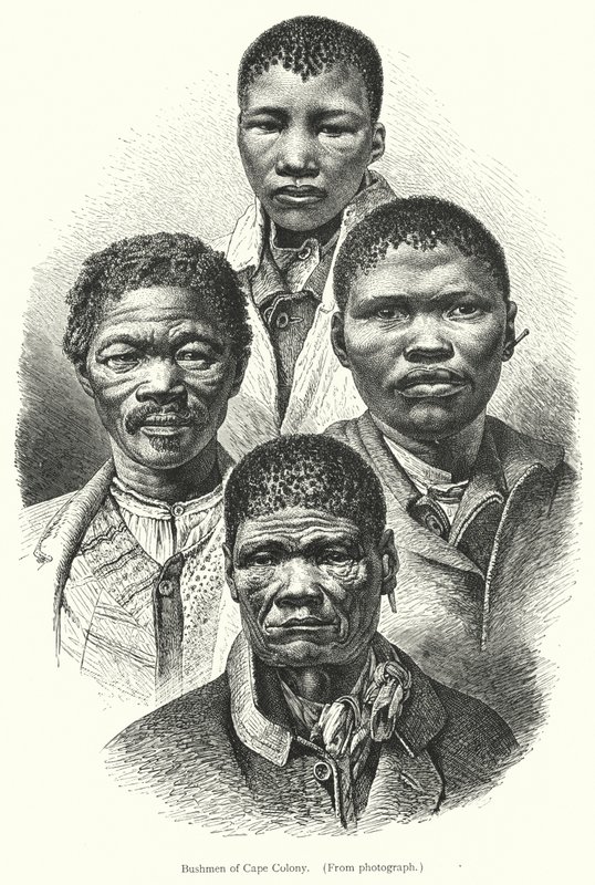 Bushmen du Cap - European School