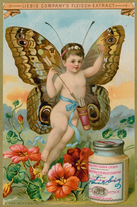 Chérubin Papillon avec des Fleurs Rouges - European School