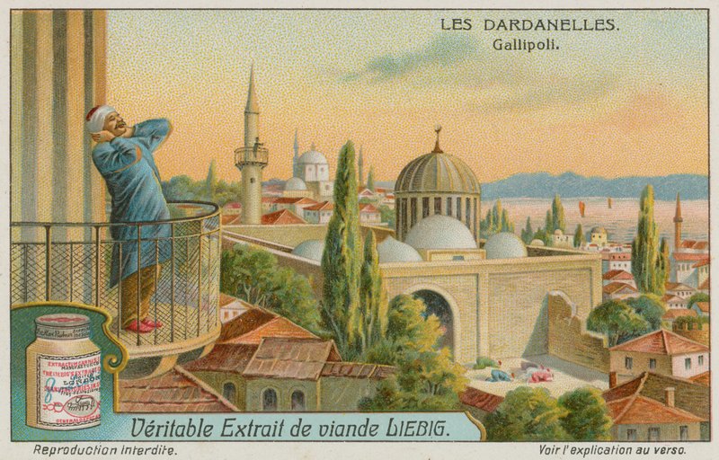 Appel à la prière, Gallipoli - European School