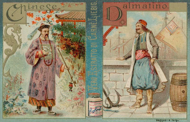 Chinois et Dalmate - European School