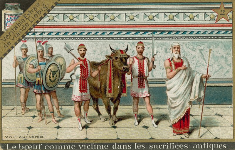 Vaches dans la Rome antique - European School