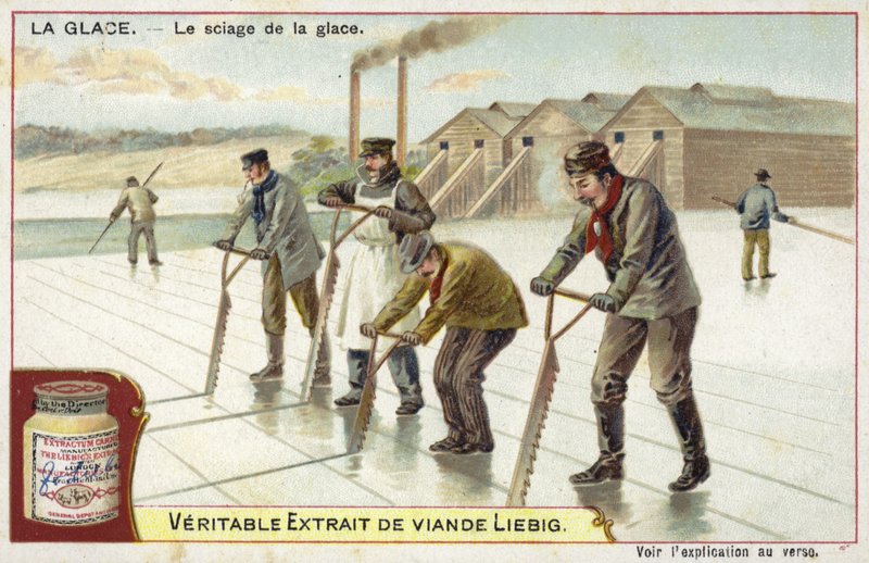 Couper de la glace avec des scies - European School