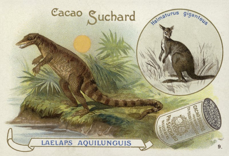 Dryptosaurus et kangourou - European School