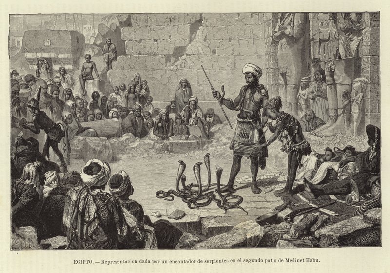 Égypte - Démonstration par un charmeur de serpents - European School