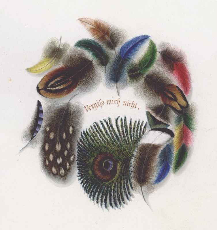 Plumes (lithographie en couleur) - European School