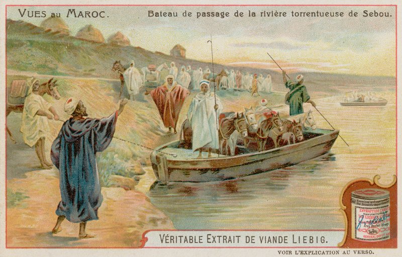 Bacs sur le fleuve Sebou - European School