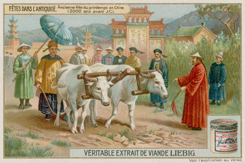 Festival du Printemps dans la Chine Ancienne - European School