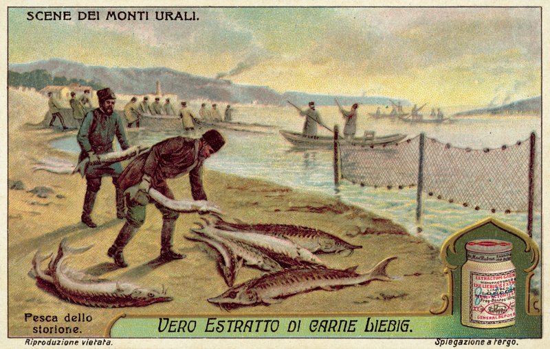 Pêche à l