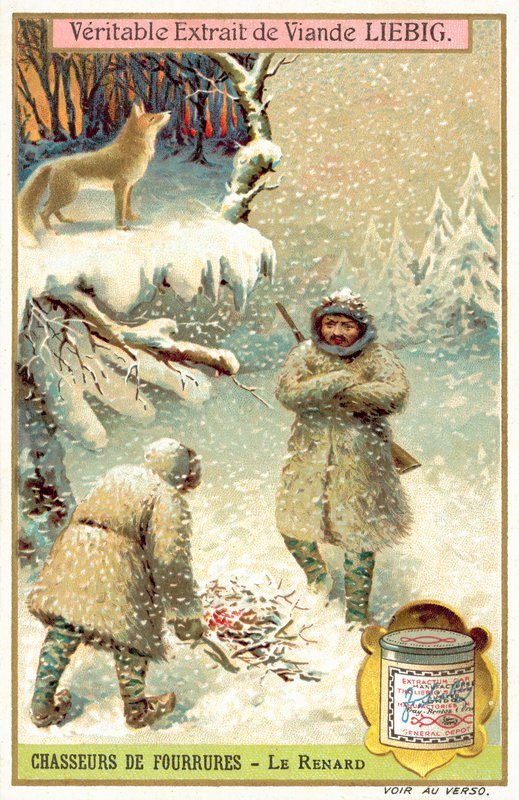 Chasseurs de renards - European School