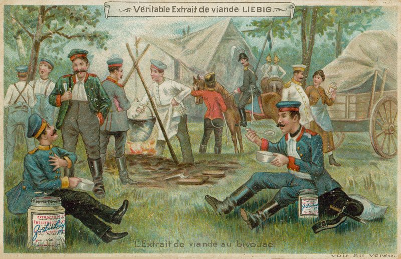 Dans un Bivouac - European School