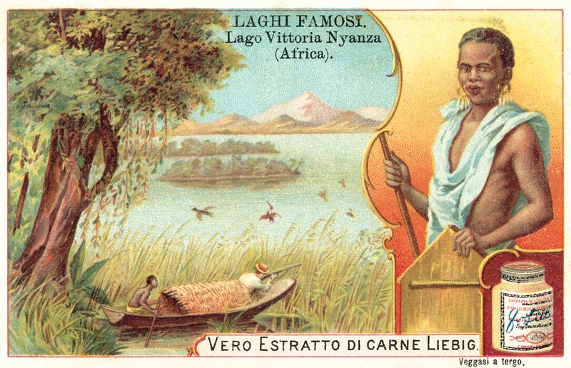 Lac Victoria, Afrique - European School