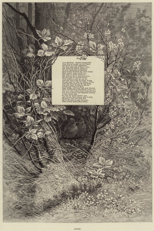 Accouplé (gravure) - European School