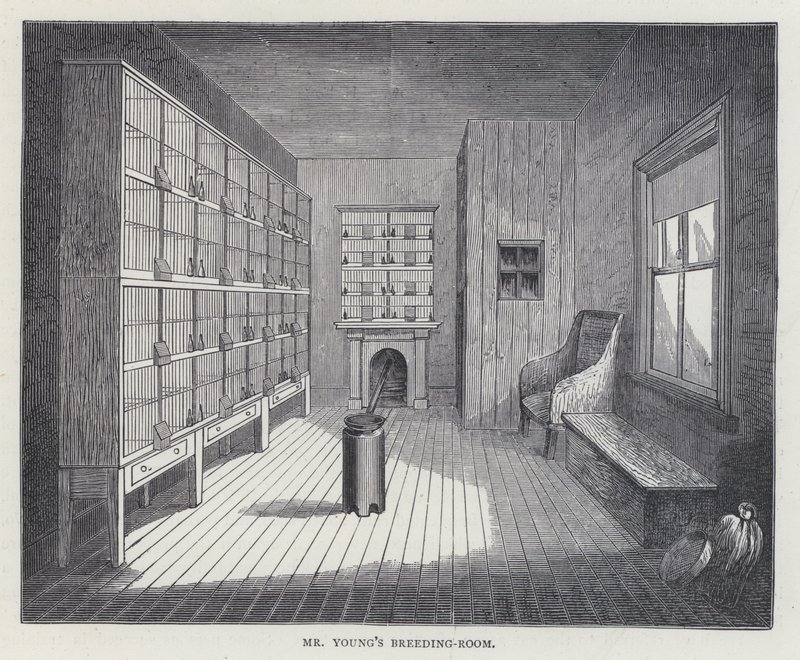 Salle d