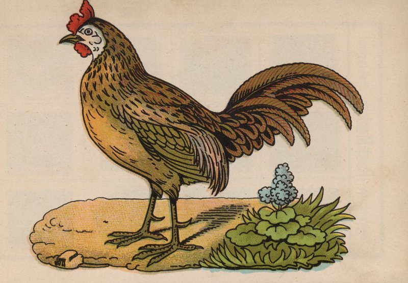 Page du Livre Magique (lithographie en couleur) - European School