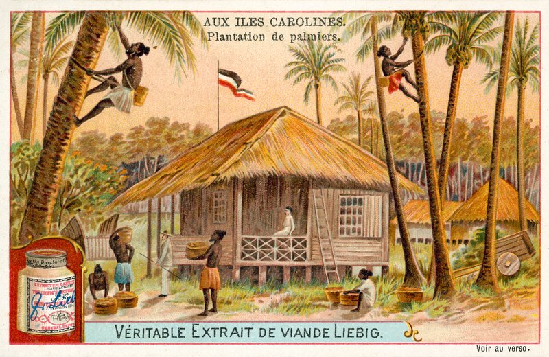 Plantation de palmiers, Îles Carolines (chromolithographie) - European School