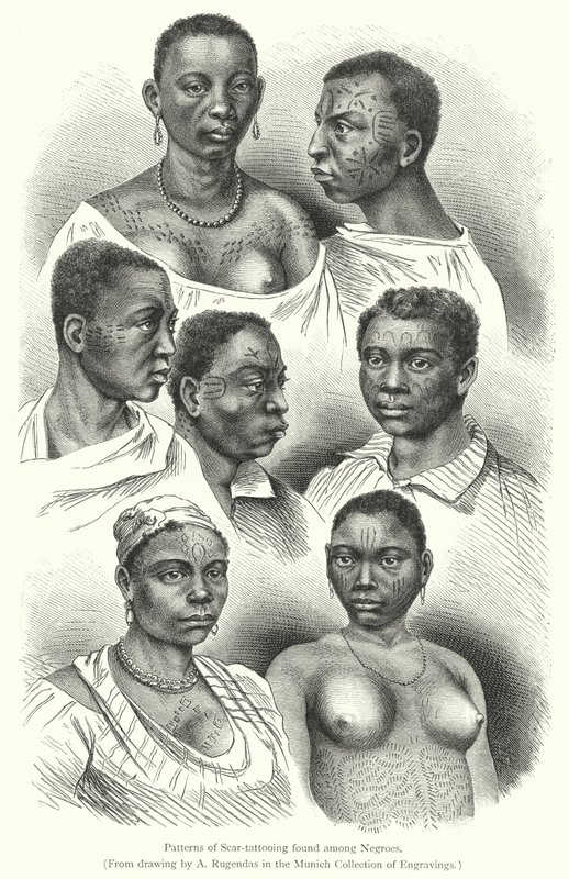 Motifs de tatouage cicatriciel trouvés chez les Nègres (gravure) - European School