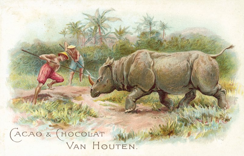 Rhinocéros attaqué - European School