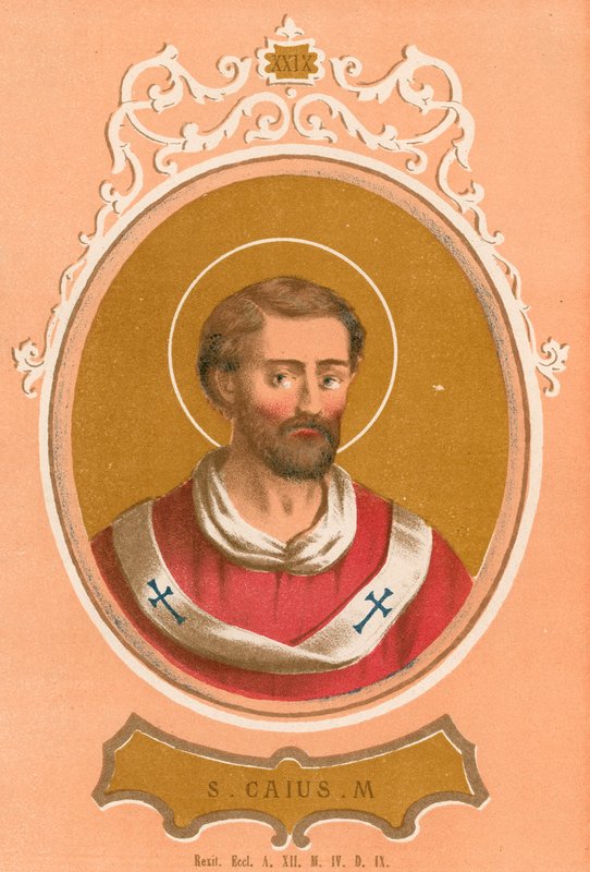 Saint Caius M - European School