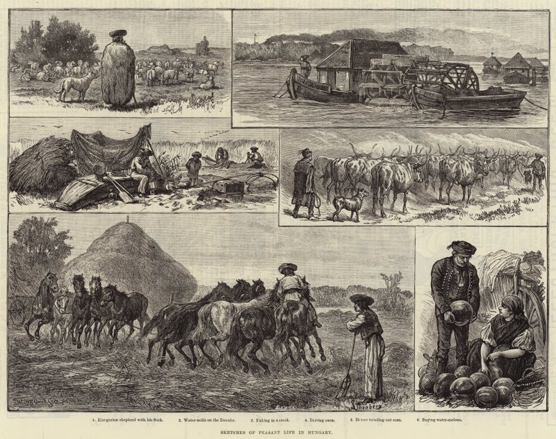 Croquis de la vie paysanne en Hongrie (gravure) - European School