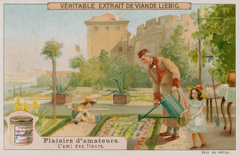 Le jardinier amateur - European School