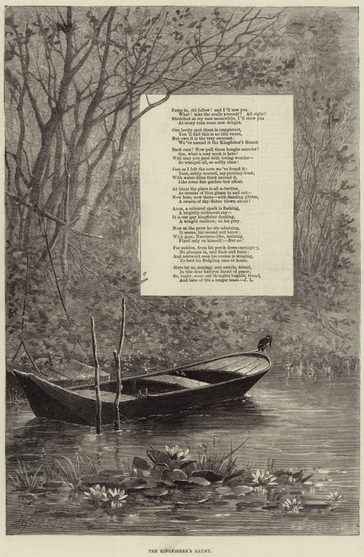 Le repaire du martin-pêcheur (gravure) - European School