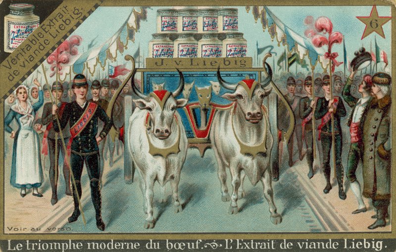 Le triomphe moderne du bœuf - European School