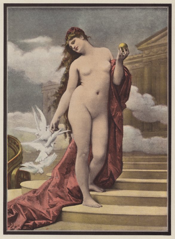 Vénus - European School