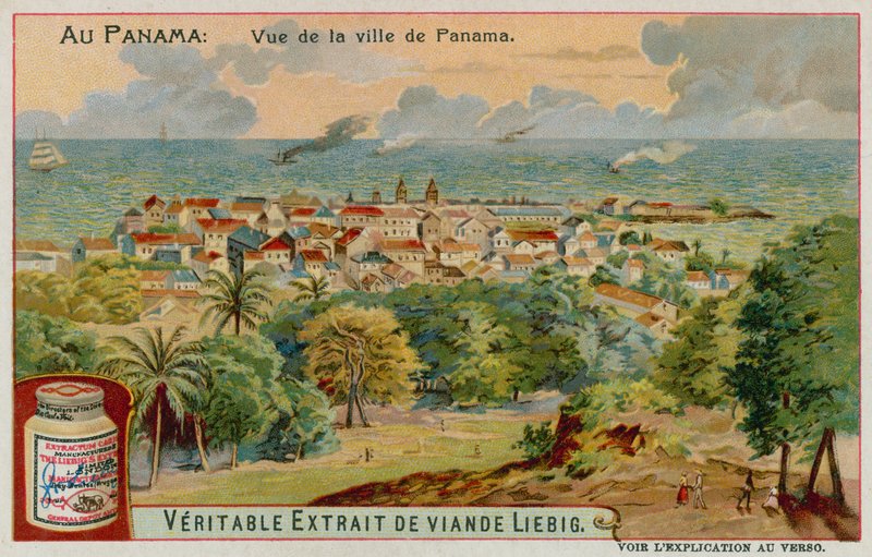 Vue d
