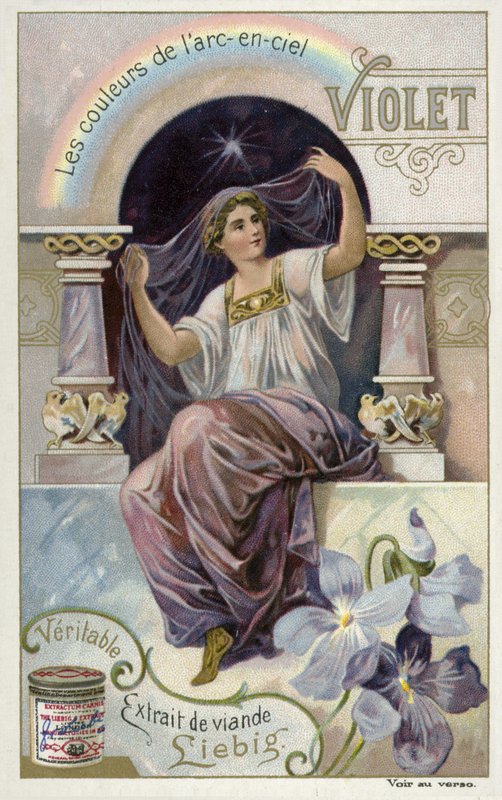 Violet - European School