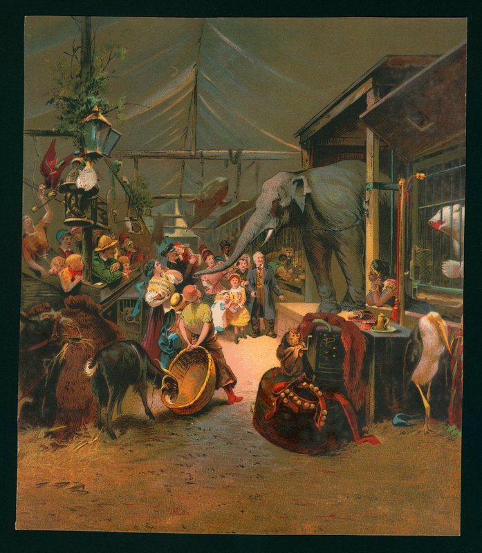 Visiteurs à une ménagerie - European School