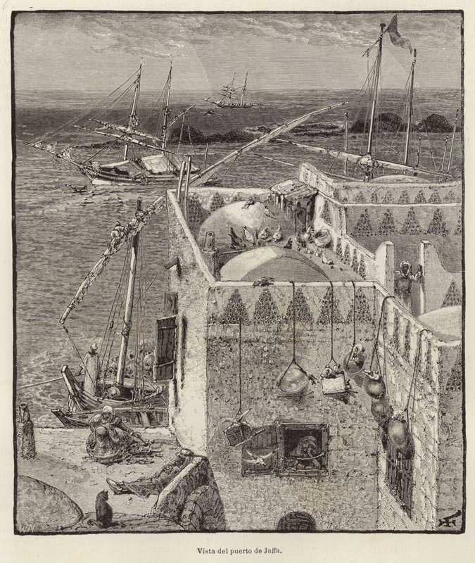 Vue du port de Jaffa - European School