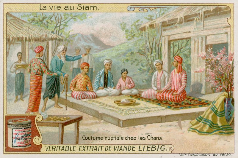 Cérémonie de mariage - European School
